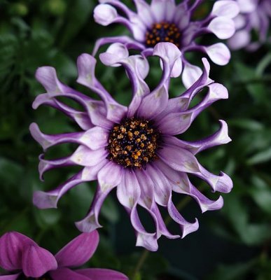 g9/54/729754/3/150399925.lc8qaU6f.jpg