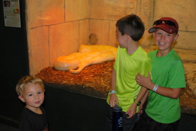 huge snake