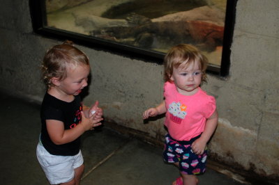 Bella and Sophia loving the zoo
