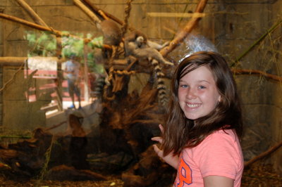 zoo