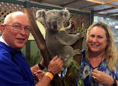 our first koala encounter with Cooper