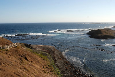 Phillip Island coast