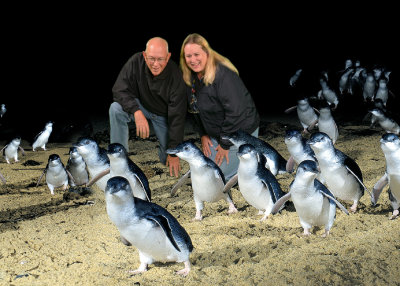 We weren't allowed to take pictures of the penguins at night, so this was taken at the museum to show the penguins we saw. 
