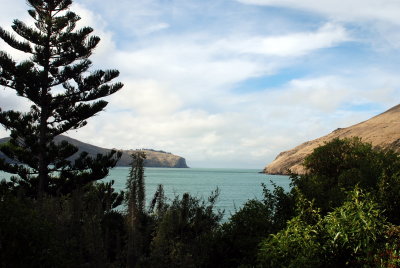 The view from our bedroom in New Zealand
