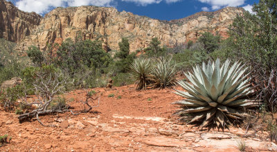 Wilson Canyon