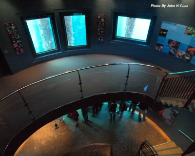 0042 - Underwater Observatory - 1.jpg