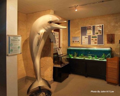 0075 - Dolphin Discovery Centre - 2.jpg