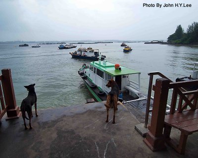 026 - Leaving Ubin.jpg