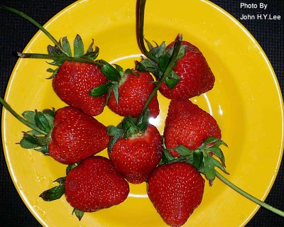 Long Stem Strawberries.jpg