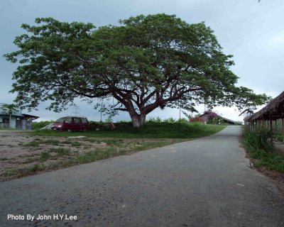 009 - Rural Freshness.jpg