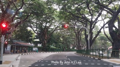 Raw Singapore Sights Part 5