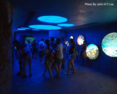 027 - Inside The Grand Aquarium.jpg