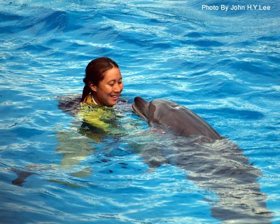 062 - Dolphin And Trainer.jpg