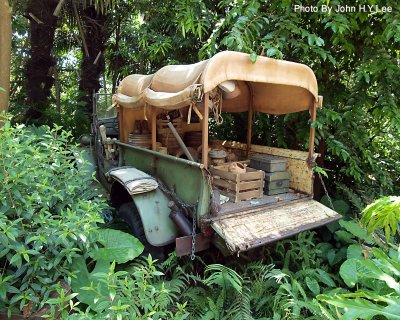 106 - Disney Jungle.jpg