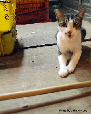 134 - Made A New Friend.jpg