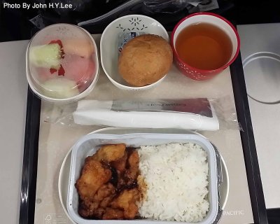231 - In Flight Fish Rice.jpg