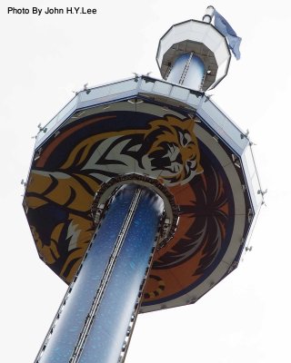 027 - Tiger Descent.jpg