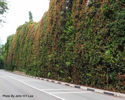 029 - Jungle Green.jpg