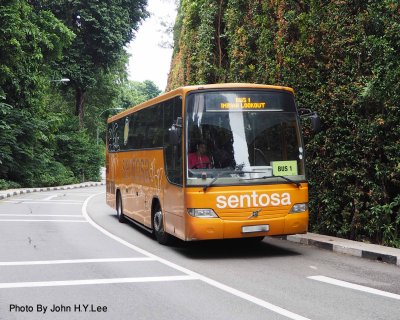 030 - Island Transport.jpg