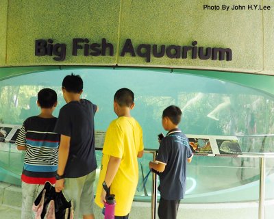 012 - Big Fish Aquarium.jpg