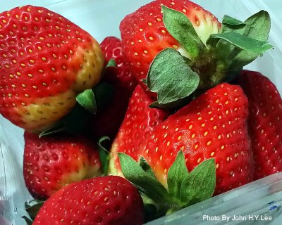 Australian Strawberries.jpg