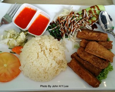 Vegetarian Chicken Rice.jpg