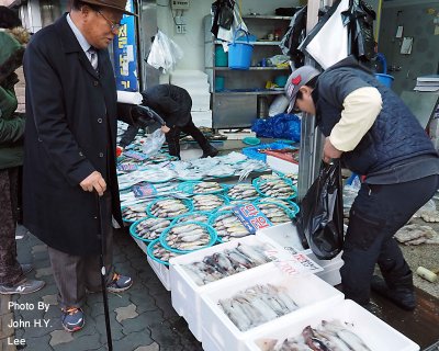 082 - Fish Shopping.jpg