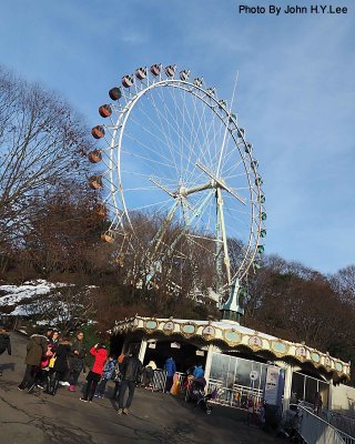 144 - Ferris Wheel.jpg