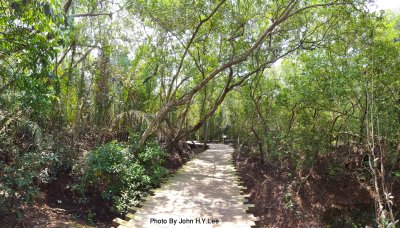 015 - Mangroves Walk.jpg