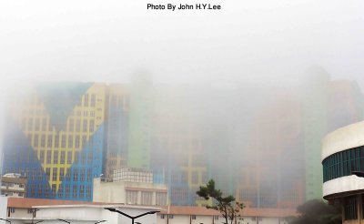 037 - First World Misted.jpg