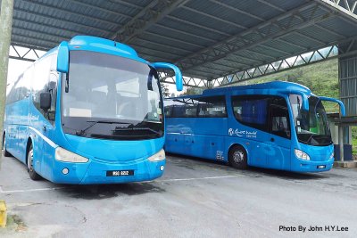 062 - Resident Bus 8212 We Meet Again.jpg