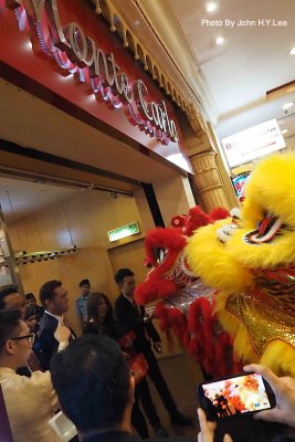 137 - Lions In Casino.jpg