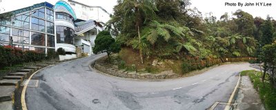 176 - A Long Look.jpg