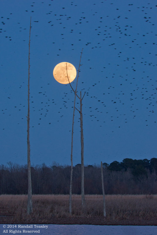 Moonrise-2014-01-15