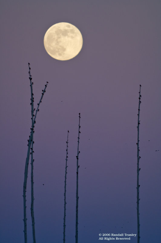 Moonrise-2006-12-04