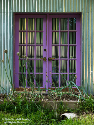 Emily's Purple Door