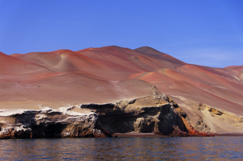 L_Pisco_7087_DxO.jpg
