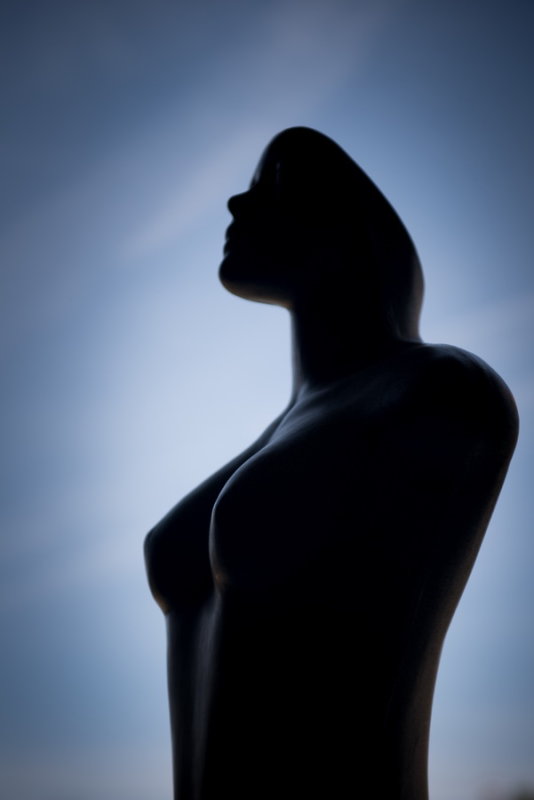 RM_160416-02-APVR-Silhouettes.jpg