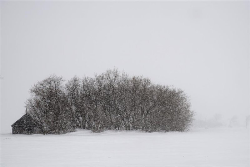 2014-02-14_173a (Medium).JPG