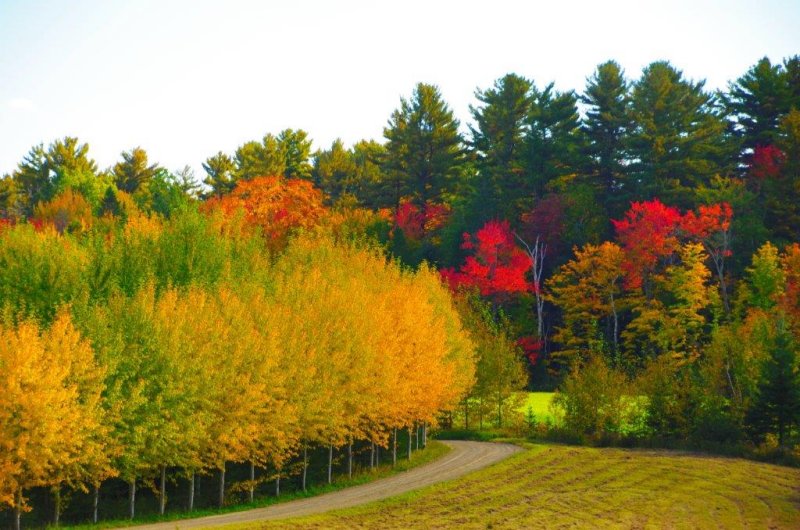 16-10-05 Couleurs en Mauricie