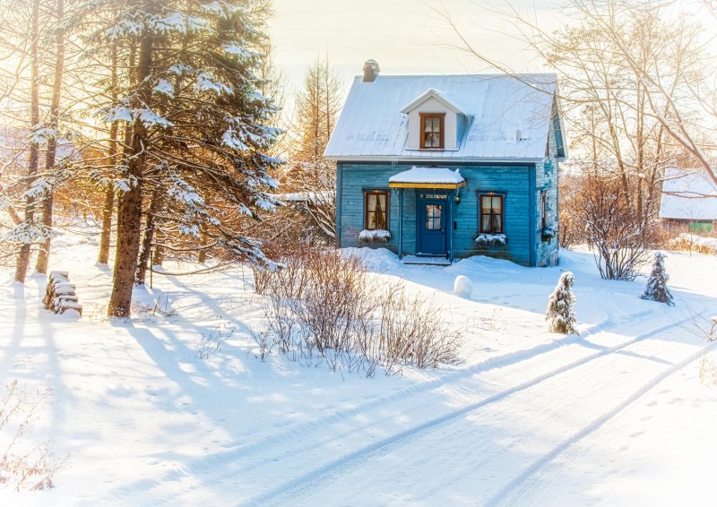 AP- Galarneau sur neige et maisonnette bleu.jpg