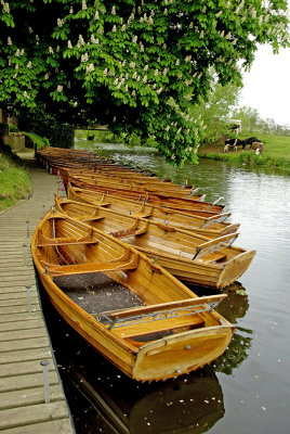 At the boathouse