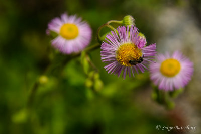 SB_S4B3610