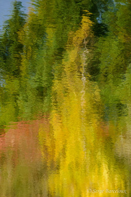 SB_Liqufaction des couleurs