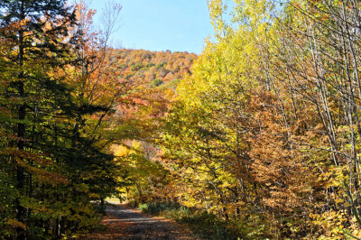 RA-DSC_3019.jpg