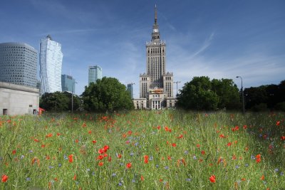 tn_IMG_6016aaa.jpg