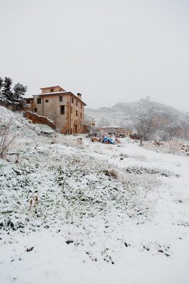 Santolaria, Febrero 2014