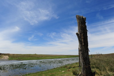 mystery_mongolia