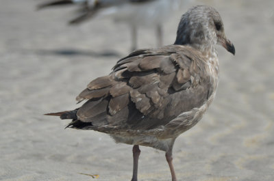 _-40.jpg