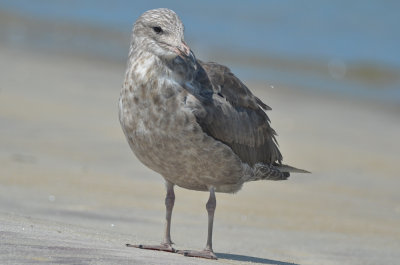 _-51.jpg